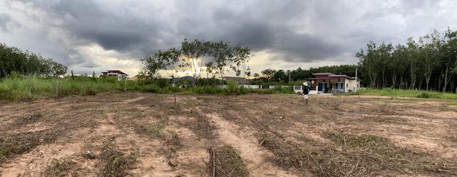 ขายที่ดิน 4