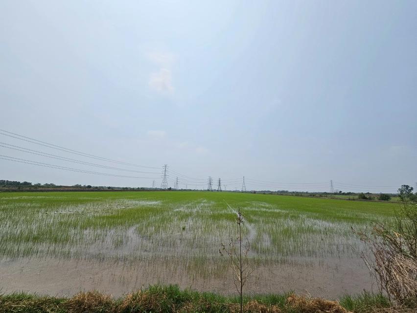 ขายที่ดิน 300-1-18 ไร่ ที่ดินเป็นนา คอลง27 จ.พระนครศรีอยุธยา 7