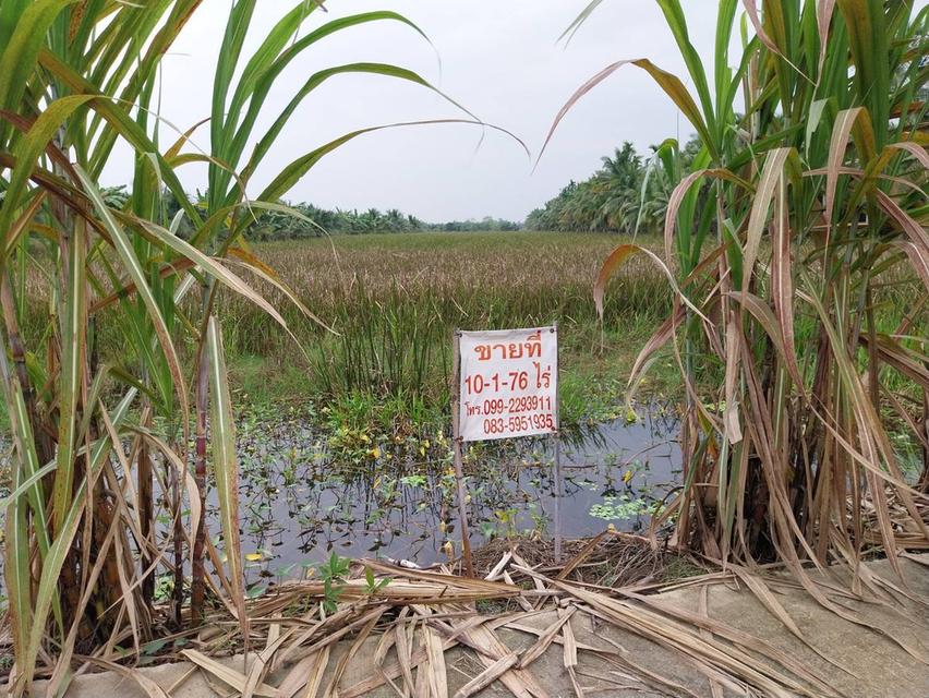 ขายที่ดิน อ.เมือง นครศรีธรรมราช 1