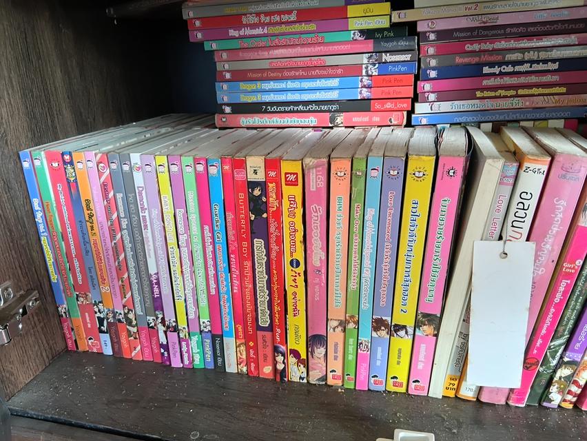หนังสือนิยายมือสองคะ