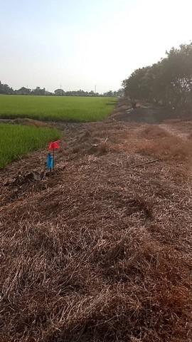 ทรัพย์คุ้มค่าราคาดีจับต้องได้ ที่ดิน ลาดหลุมแก้ว บ่อเงินปุทม ใ5ไร่ อำเภอลาดหลุมแก้ว ปทุมธานี ลาดหลุมแก้วไร่ละ 1ลบ. โทร 0 2