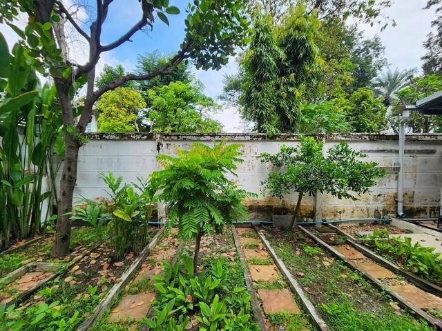 ให้เช่า บ้าน หมู่บ้านบ้านลาดพร้าว Exclusive ถ.เลียบด่วนเอกมัย-รามอินทรา ตรงข้าม ห้างเดอะคริสตัล ซอยโยธินพัฒนา 3  6