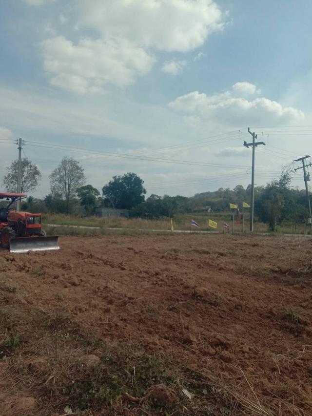 ที่ดินเปล่า มีหลายไร่ แบ่งขาย 1 ไร่ 6 แสน บ้านศิลางาม  วังน้ำเขียว รูปที่ 16