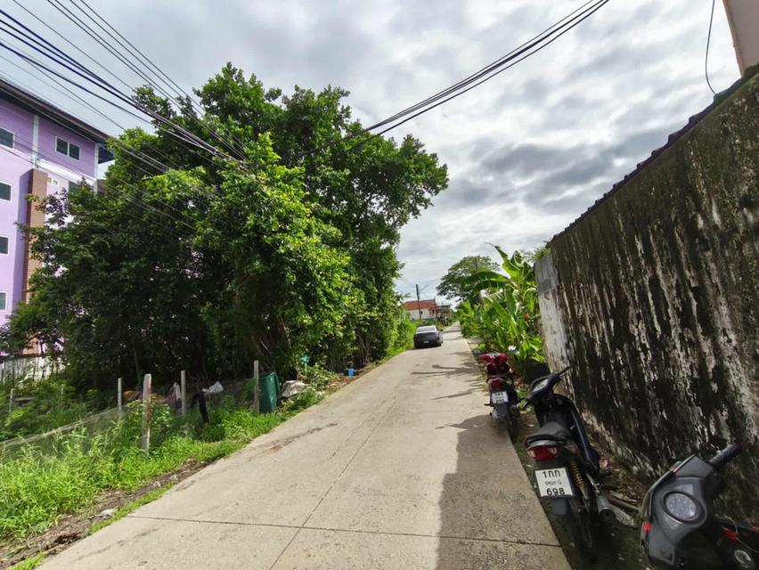 ขายที่ดินสวยถมแล้วคูบางหลวงสีม่วง 60 ตรว.ซอยเรณูอุทิศ ใกล้ถ.ปทุมธานี-บางเลน346-200เมตร อ.ลาดหลุมแก้ว ปทุมธานี 3