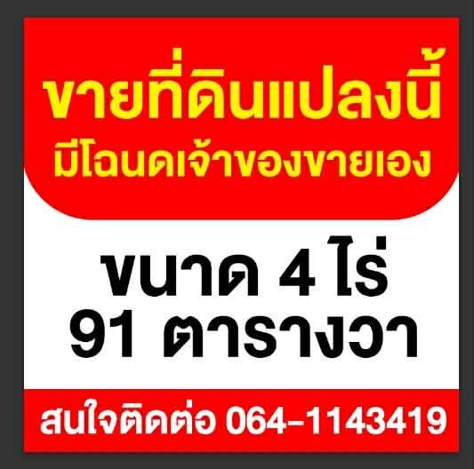 ขายที่ดิน สวนมะม่วงพร้อมให้ผลผลิต 11