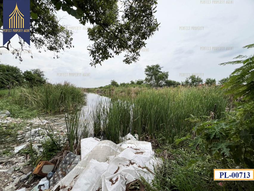 ขายที่ดิน 77ไร่ แบ่งได้ สีม่วงเข้ม สร้างโรงงาน บางบ่อ สมุทรปราการ ใกล้นิคมเวลโกรว Wellgrow Industrial Estate 6