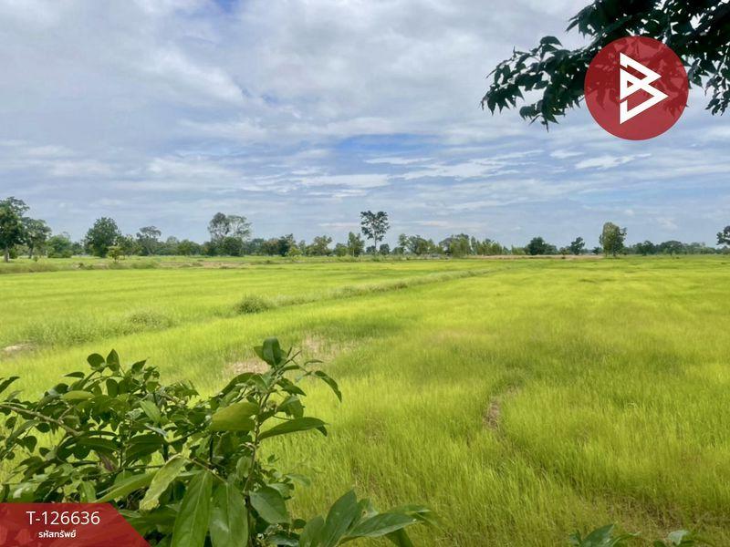 ขายที่ดิน เนื้อที่ 21 ไร่ 3 งาน 13.0 ตารางวา อำเภอเฉลิมพระเกียรติ บุรีรัมย์ 1