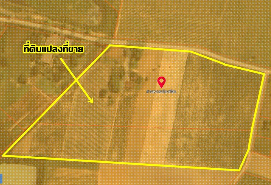 ขายที่ดินเปล่า ซอยปราถนา ถนนทางหลวง331 สัตหีบ-พนมสารคาม 6