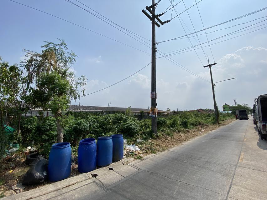 ที่ดินคลอง4 ลำลูกกา ปทุมธานี 3