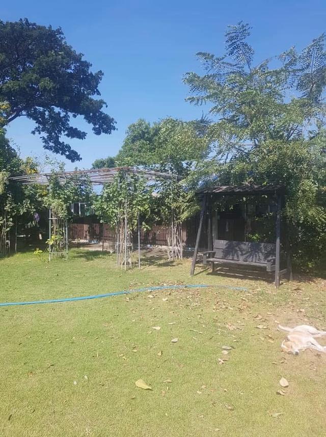 ที่ดิน 3