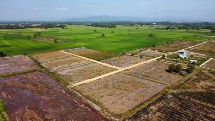 เปิดขายที่ดินสวยมาก เงินผ่อน  อ.ประจันตคาม จ.ปราจีนบุรี  3