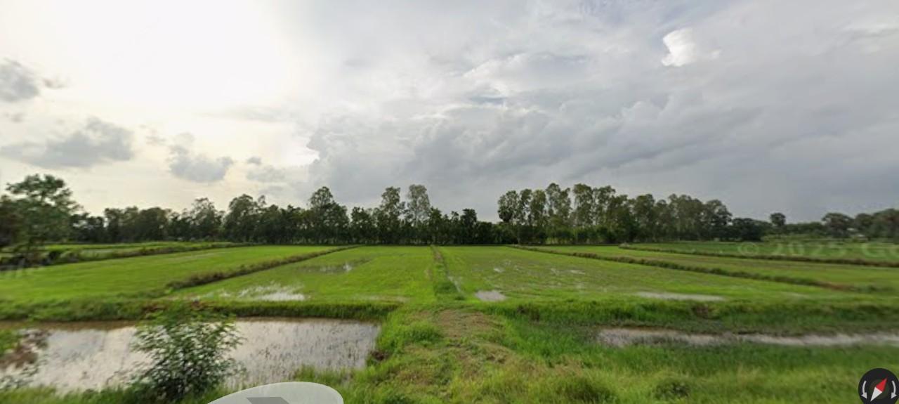 ขายที่ดิน อ.ประโคนชัย จ.บุรีรัมย์ 2