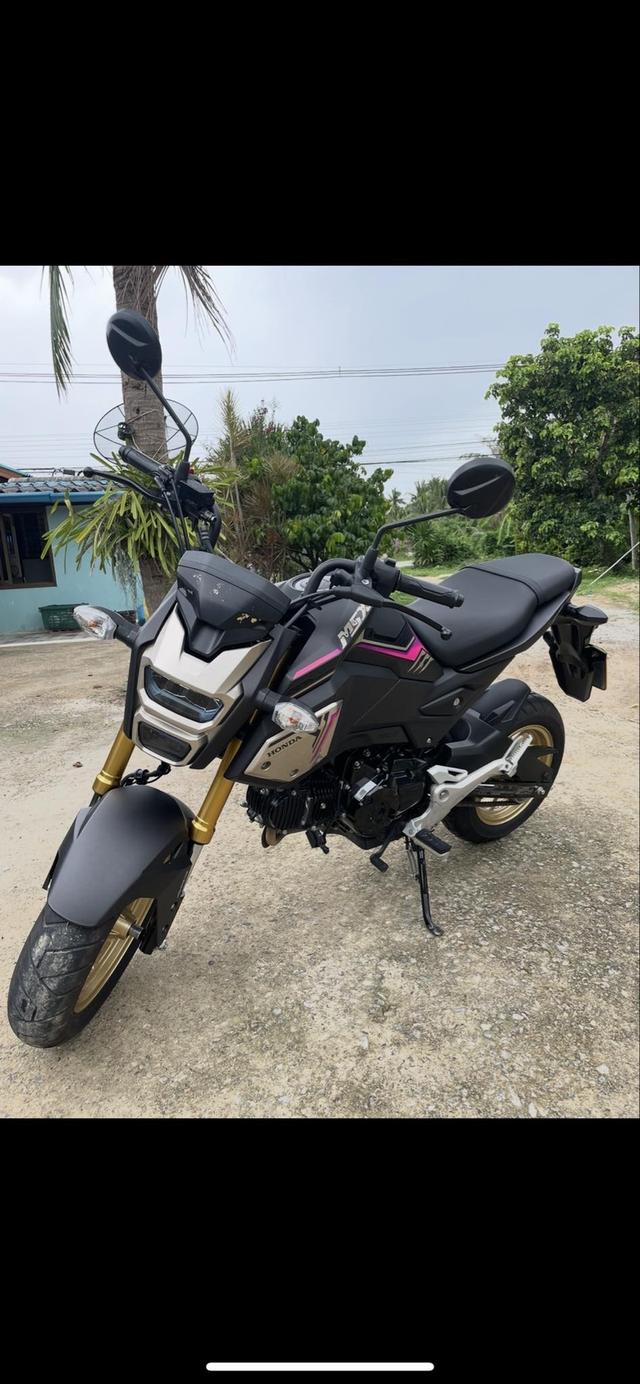 ขาย MSX125SF สภาพเดิมทุกอย่าง ไม่ค่อยได้ขี่