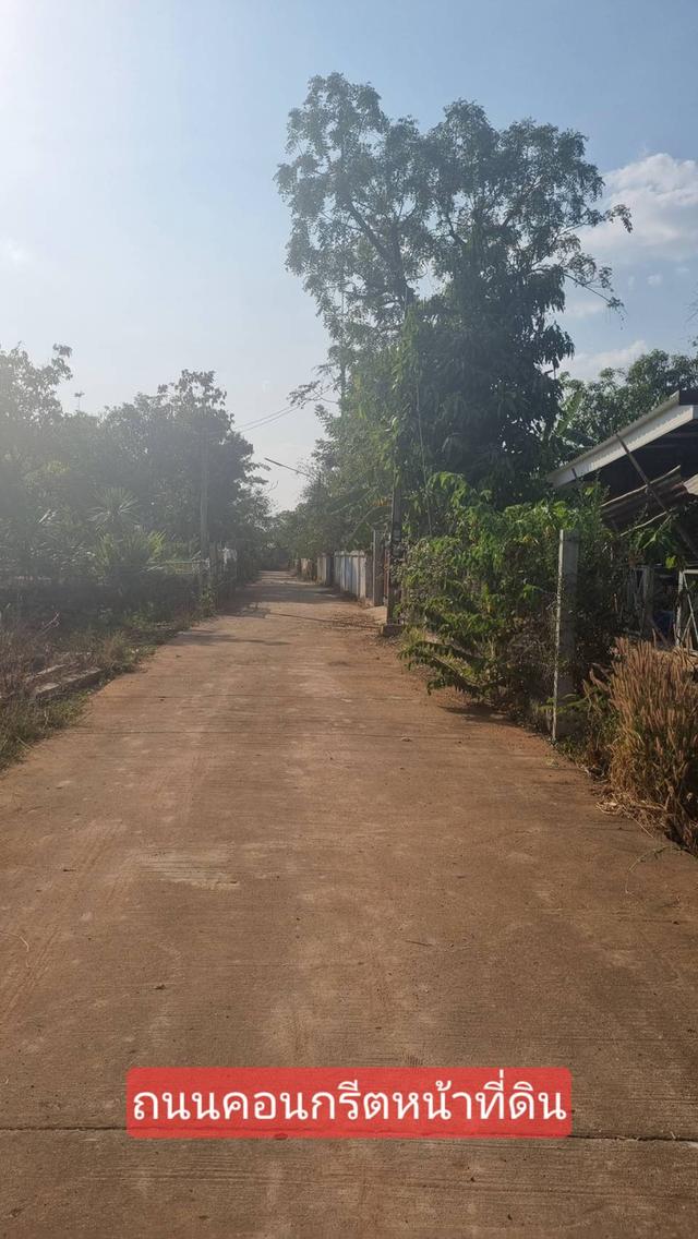 ที่ดินในชุมชนเหมาะสร้างบ้าน สาธารณูปโภคพร้อม 3