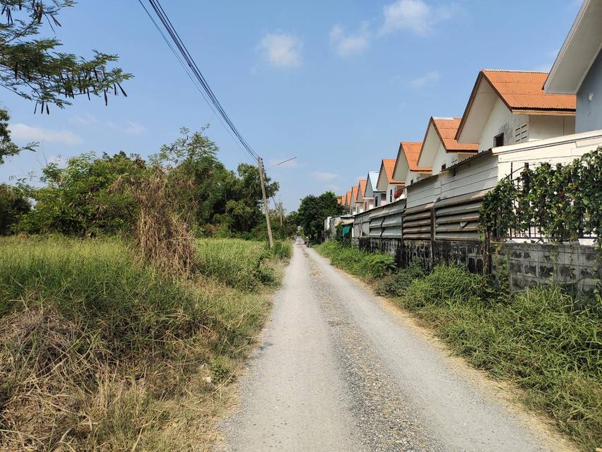 ที่ดิน1ไร่คลองห้าชอยคลองห้าตะวันออก9 1