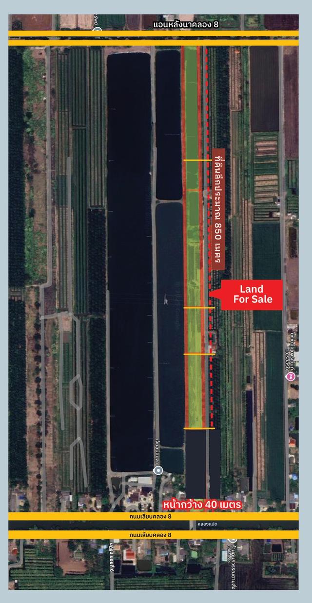 ที่ดิน หนองเสือ ปทุมธานี 2
