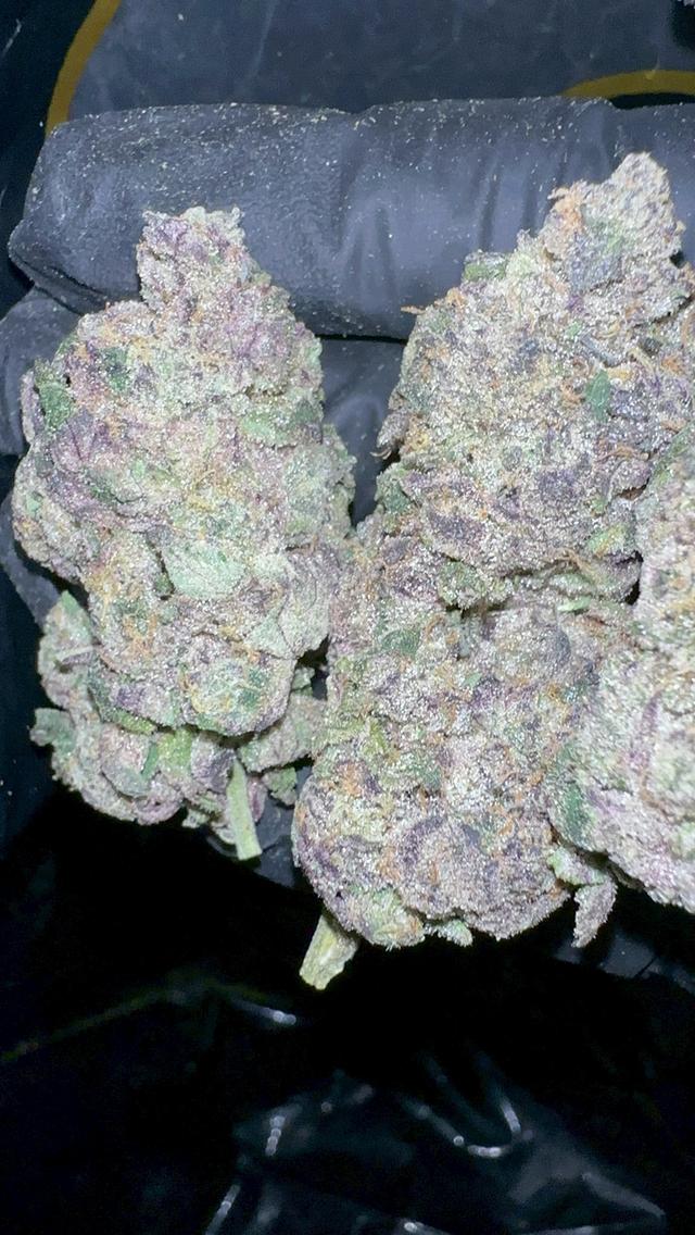 Cannabis............ 1