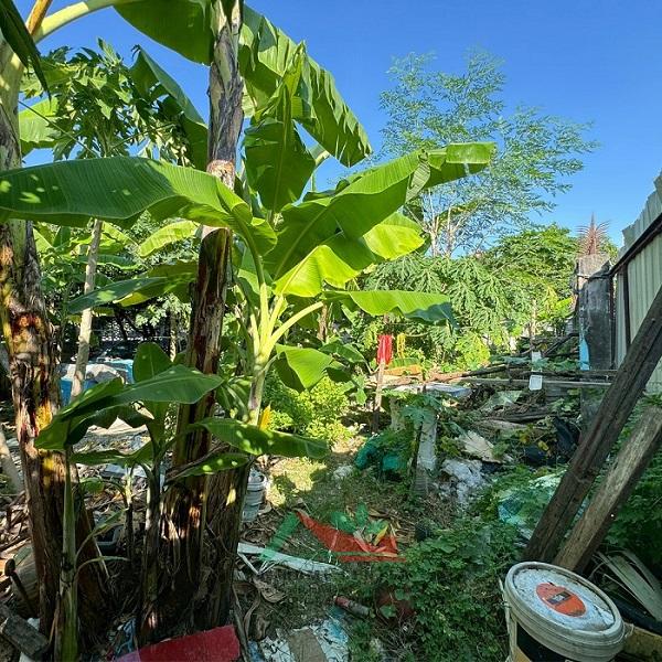 ขายที่ดินหนองแขม106ตรว. ซ.เพชรเกษม79 แยก19 ถมแล้ว ต่อรองได้ 3