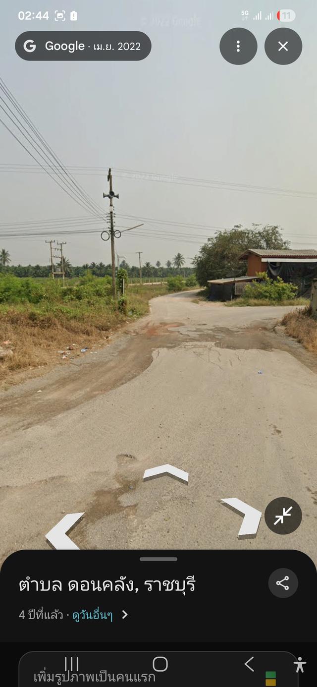 ขายที่ดินพร้อมสวนมะพร้าวน้ำหอมพร้อมเก็บผลผลิต 5