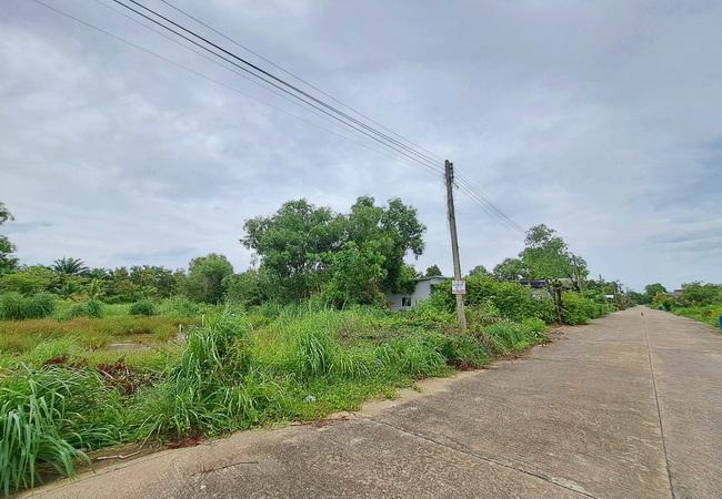 ขายที่ดิน ธัญบุรี คลอง 13 หมู่บ้านสมหวังการ์เด้น เนื้อที่ 75.70 ตร.ว. ถนนคอนกรีต  5