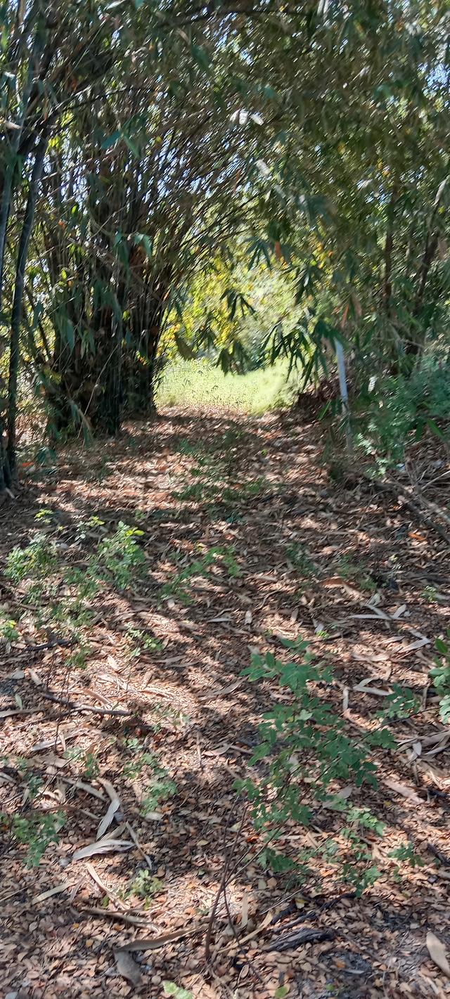 ที่ดินแปลงเล็กเหมาะทำการค้า ร้านขายต้นไม้ ร้านอาหารสัตว์ หรือวัสดุก่อสร้าง ก็ดี หรือจะเช่าระยะยาว ราคาไม่แรง 5