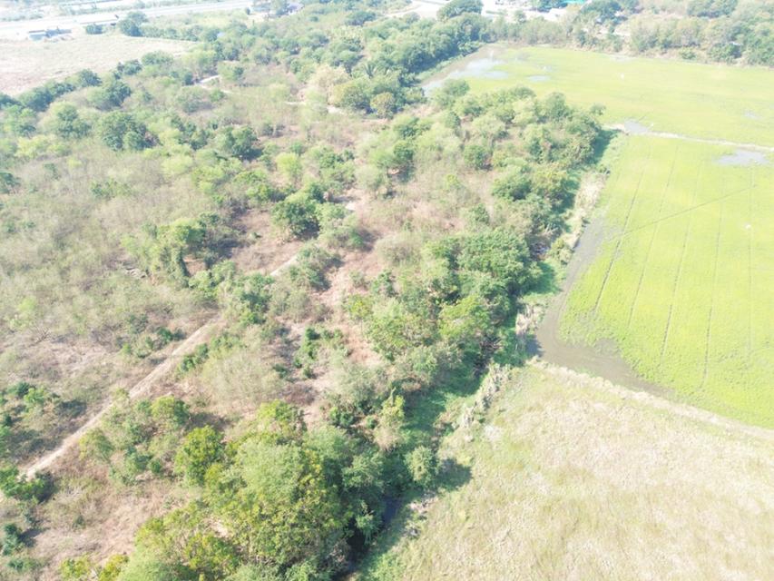 ขาย ที่ดิน ติดเทศบาล ติดเทศบาลโคกพุทรา 2 ไร่ อ่างทอง 6