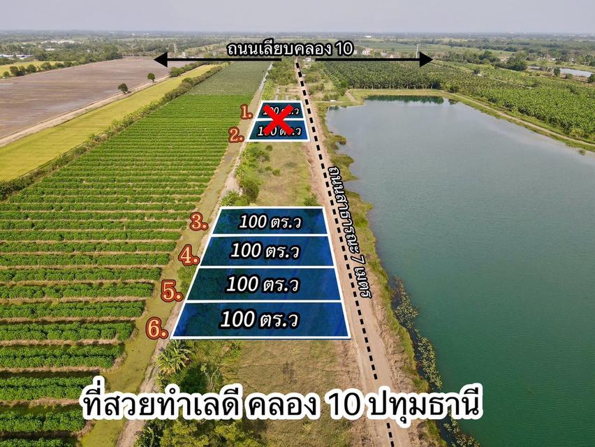 ที่ดินวิวบึง คลอง 10 หนองเสือ ปทุมธานี — แปลงละ 100 ตร.ว. 1