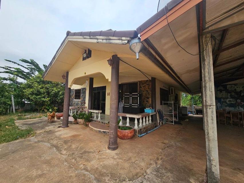 ขายบ้านพร้อมที่ดิน ติดการไฟฟ้าส่วนภูมิภาคจังหวัดชัยภูมิ 6