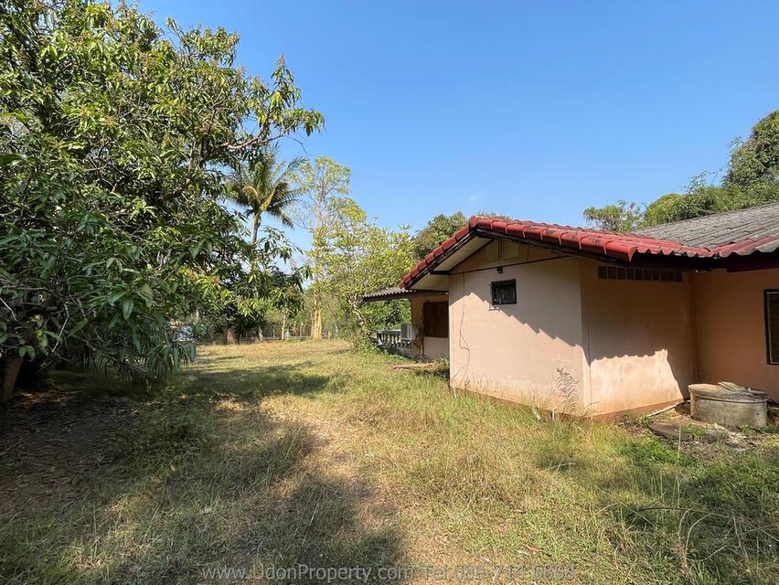 🔥 ขายด่วน! บ้านพร้อมที่ดิน พื้นที่ขนาดใหญ่ ใกล้เมือง จ.อุดรธานี (รหัส H1SS-491) 10