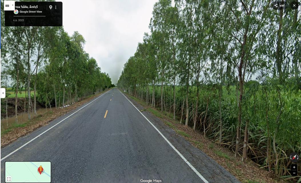 ที่ดิน ต.ไม้ดัด อ.บางระจัน จ.สิงห์บุรี 5