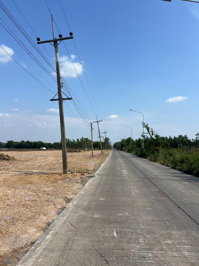 ที่ดินผืนสวย ทำเลน่าลงทุน ใกล้ชุมชนหนองหมู เทศบาลตำบลหนองหมู อำเภอวิหารแดง จังหวัดสระบุรี 9