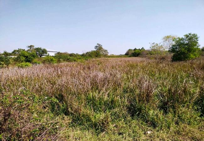 ขายที่ดิน ซอยคลองสาม 11/21 ติดคลองแอน ถนนคลองหลวง อำเภอคลองหลวง ปทุมธานี 7