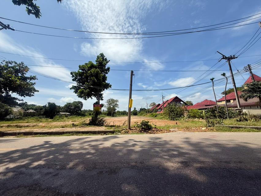 ขายที่ดิน จังหวัดระยอง ติดทะเล สวยที่สุดแปลงสุดท้าย 7