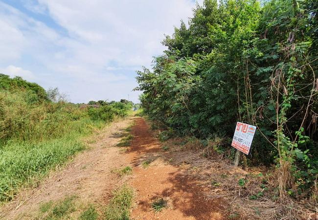 ขายที่ดิน ถนนฤชุพันธ์(บางบัวทอง-สุพรรณบุรี) ตำบลไทรใหญ่ อำเภอไทรน้อย นนทบุรี 3