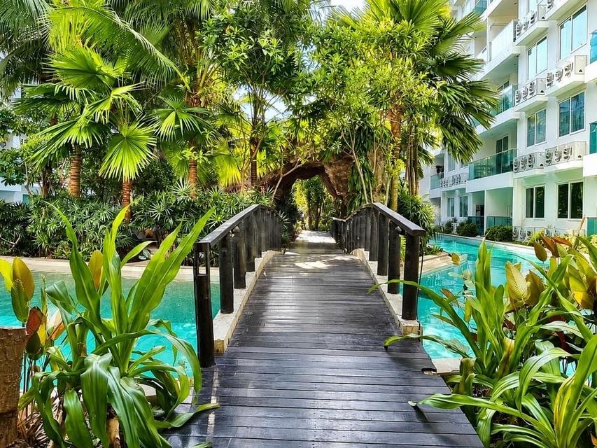 For Rent — Pool View Condo at Amazon Residence Jomtien, PattayaCondo for rent at Amazon Residence Jomtien, Pattaya. Fully furnished 1-bedroom 9