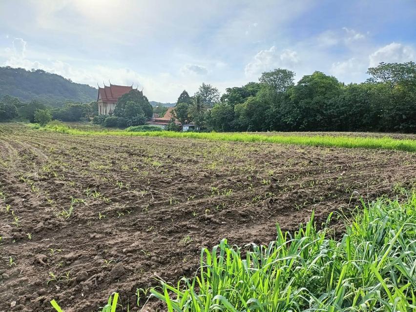 ที่ดินปากช่อง ต.พญาเย็น จ.นครราชสีมา 13