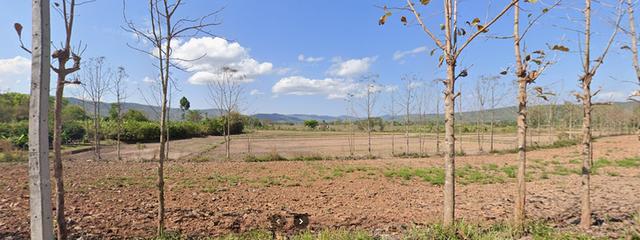 ขายที่ดิน 9 ไร่ 2 งาน 45.0 ตารางวา พิกัด ต.เจริญเมือง อ.พาน จ.เชียงราย