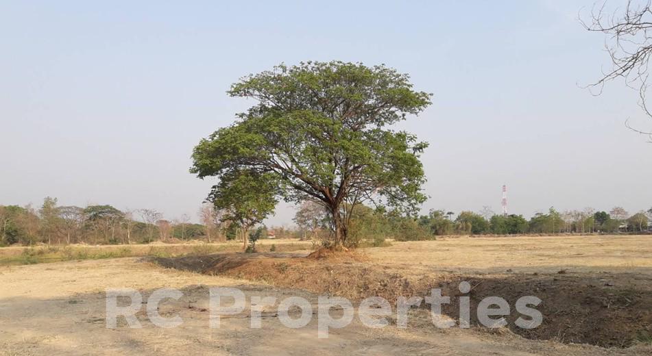 ขายที่ดินทำเลทอง อ.หางดง เชียงใหม่ อยู่ใกล้ศูนย์หัตถกรรมบ้านถวาย เนื้อที่ 68-1-02 ไร่ 4