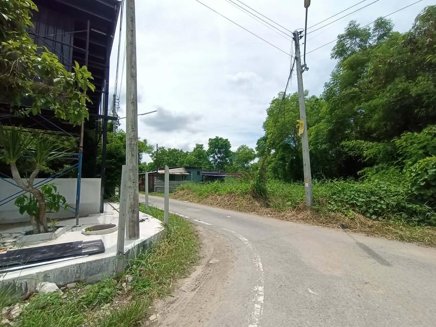 ถูกกว่านี้ไม่มีอีกแล้ว! ที่ดิน 101 ตร.ว. ทำเลสวย แปลงมุม ติดถนน อยากเป็นเจ้าของที่ดินใกล้ มทร ธัญบุรี นัดตรวจเช็กพิกัดและดูหน้างานจริงได้ทุกวันครับ/ค 1