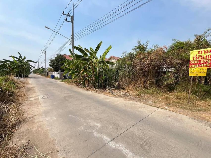 ขายด่วนที่ดิน 100 ตรว.ซอยบงกช45 คลองหลวง จ.ปทุมธานี ‼️รูปแปลงสวย  ถมแล้ว 50 ตรว. อีก50 ตรว. ยังไม่ถม 4