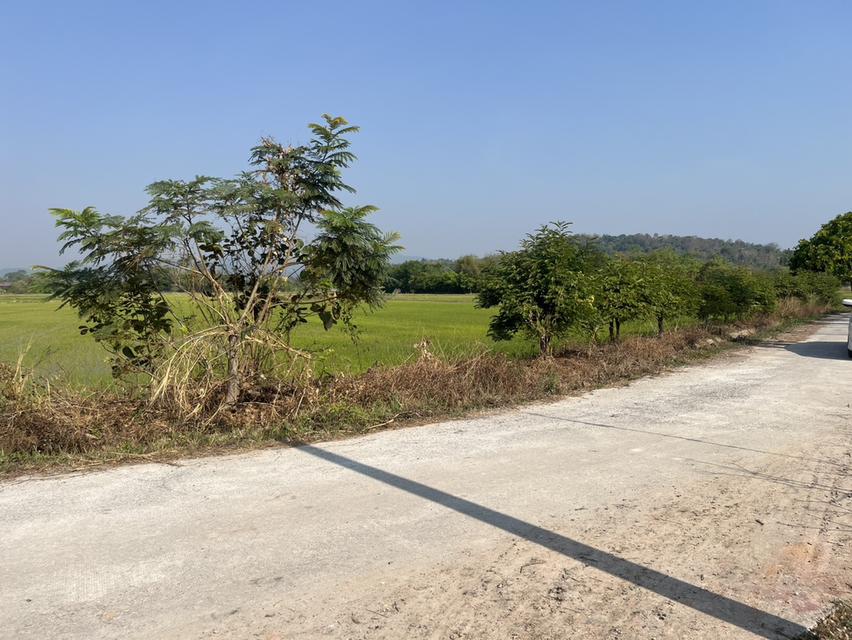 ขายที่ดิน 3 ไร่ ต.หินตั้ง ติดถนนคอนกรีต วิวสวย เหมาะทำพูลวิลล่า 11