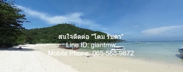 ที่ดิน ที่ดินเกาะพีพี จ.กระบี่ 5000000 บาท. ไม่ไกลจาก Loh Lana Bay (500 ม.) NICE 2