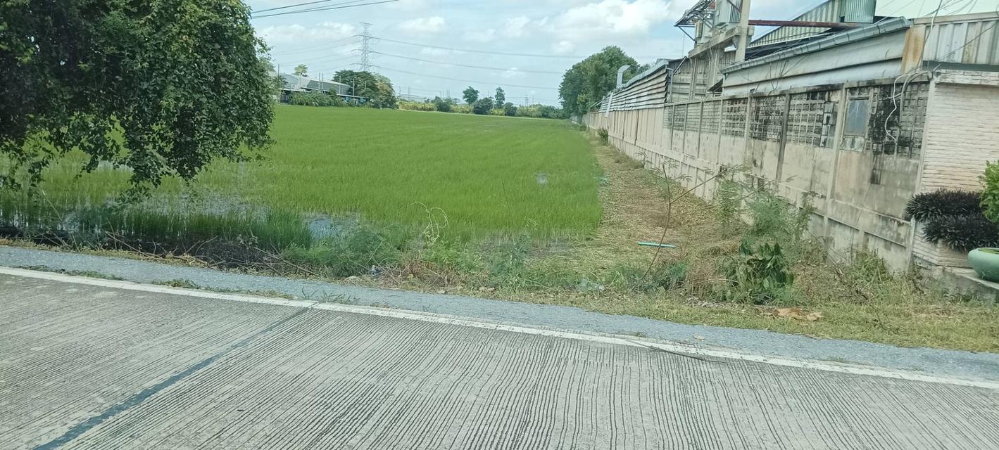 ที่ดินติดถ.บางบัวทอง-สุพรรณบุรี (340) กม 19. 5