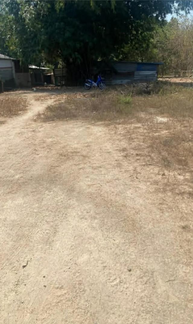 ขายที่เขาตามาก 90 ตรว. โฉนดพร้อมโอน ถูกมาก ที่ถมแล้ว 2