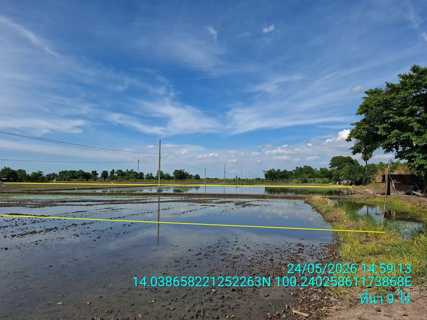 ที่นา 9 ไร่เศษ อ.บางเลน จ.นครปฐม ติดคลองบางภาษี มีน้ำทำนาได้ตลอดปี 9