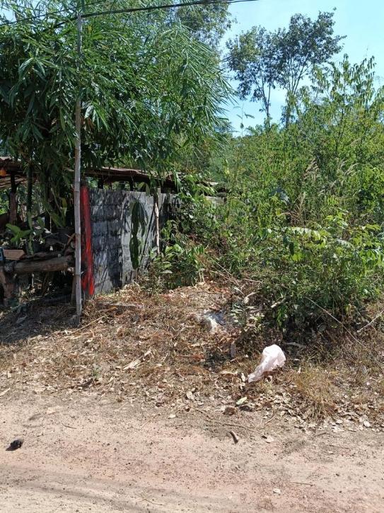 ขายที่ดิน โฉนด ติดร้านอาหารครัวริมบึงโง้ง เนื้อที่ 200 ตร.ว. 8