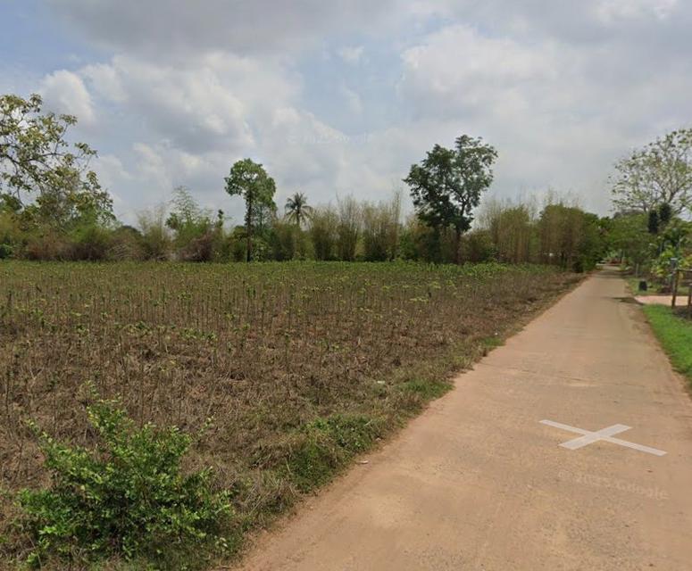 ขายที่ดินนนทรี 9 ไร่ ซอยวัดสระขุด ใกล้ถ.สุวรรณศร33สนามไดร์ฟกลอ์ฟ-500เมตร อ.กบินทร์บุรี ปราจีนบุรี 4