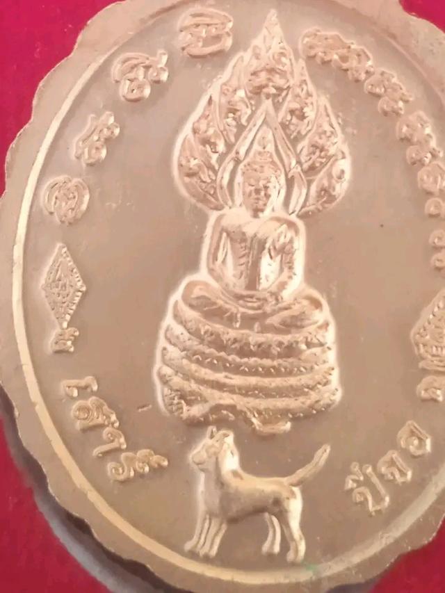 เหรียญพระพุทธชินราช หลังพญาเสือ รุ่นเสาร์ 5 ปีขาล เนื้อทองทิพย์ วัดพระศรีรัตนมหาธาตุวรมหาวิหาร (วัดใหญ่) รูปย่อยที่ 4