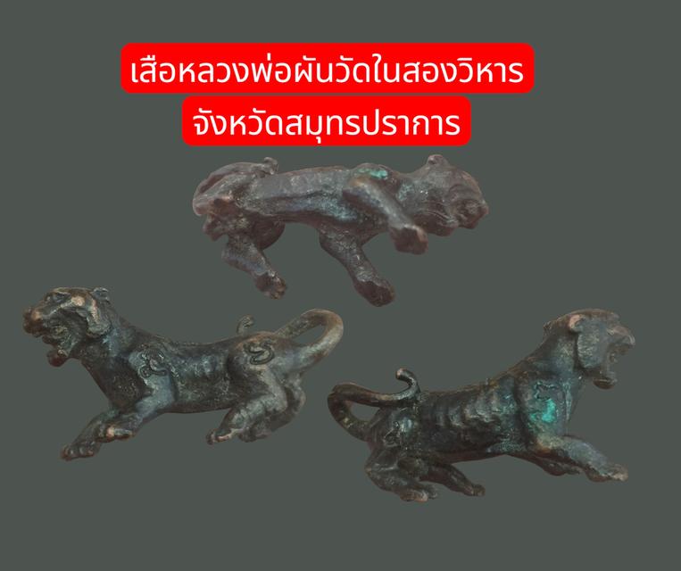 เสือหลวงพ่อผัน