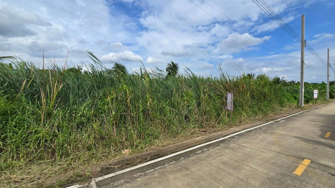 ขายด่วนที่ดิน 96 ตรว ติดถนนคอนกรีตสาธารณะ ซ.นายตึ๋ง บางกรวย นนทบุรี 3